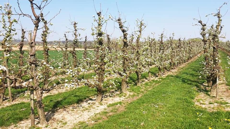 Vakantiewoning Henisdael Heers Kültér fotó