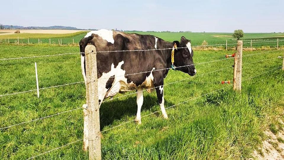 Vakantiewoning Henisdael Heers Kültér fotó