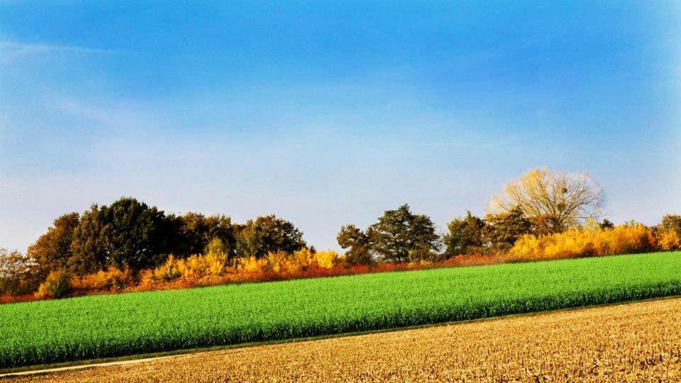 Vakantiewoning Henisdael Heers Kültér fotó